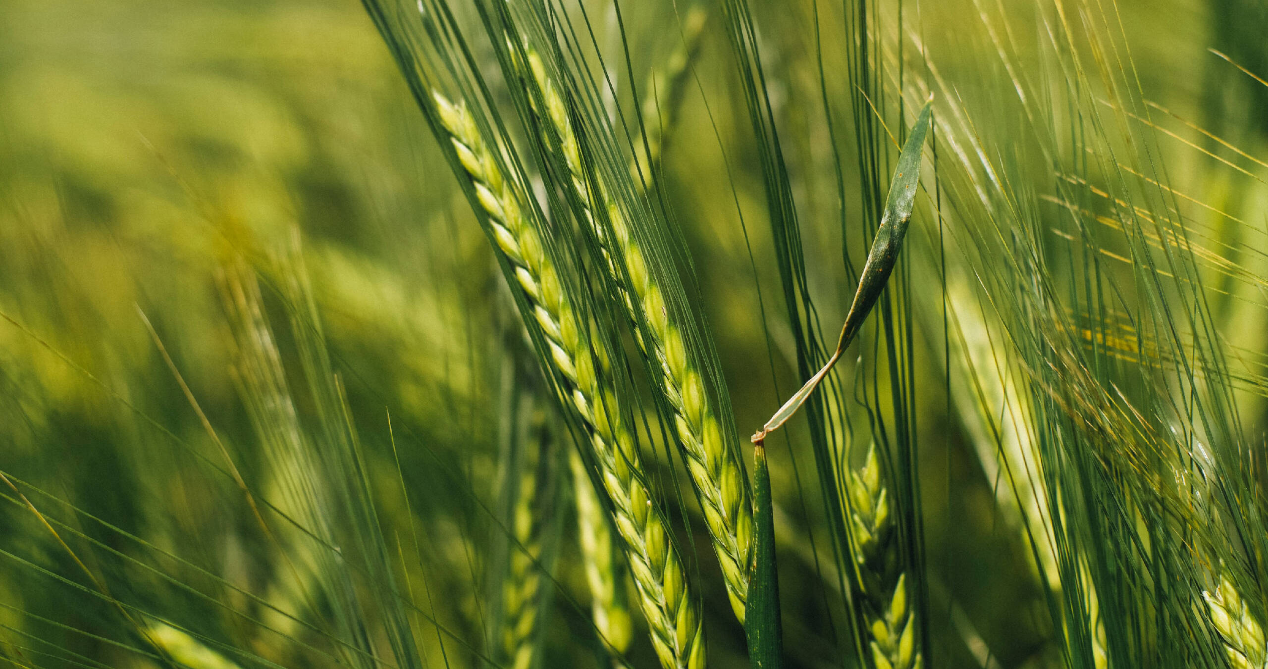 Central and Western China