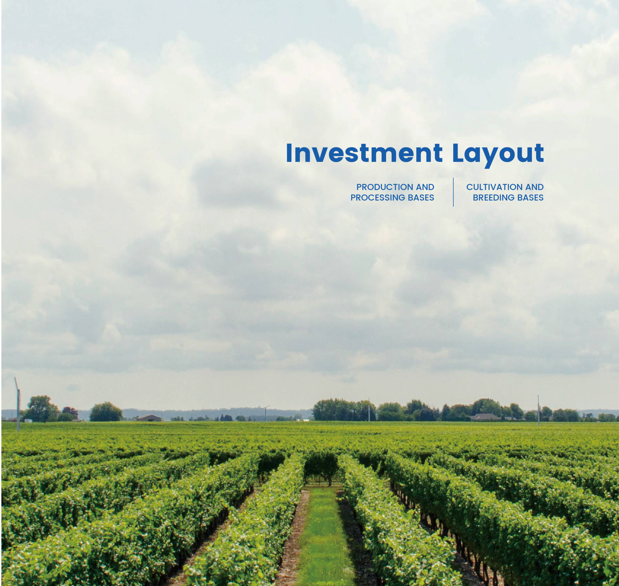 PRODUCTION AND PROCESSING BASES